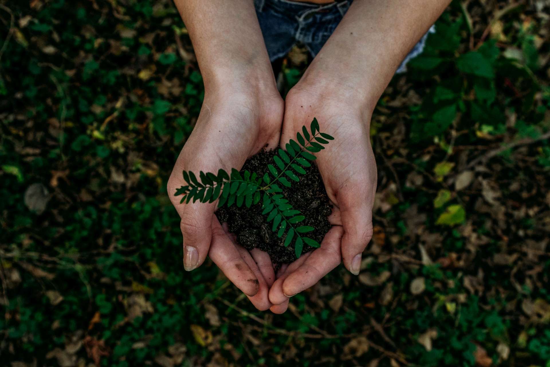 Nachhaltigkeit und ethische Erwägungen bei Naturkosmetika